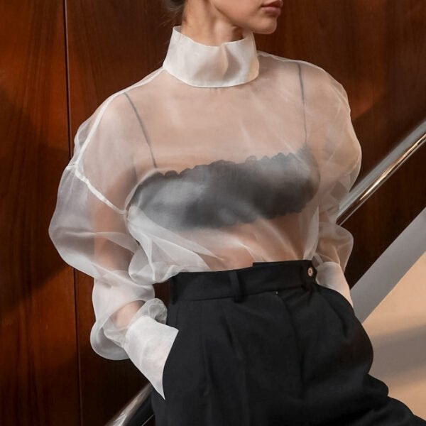 قميص نسائي شبكي شفاف بأكمام طويلة