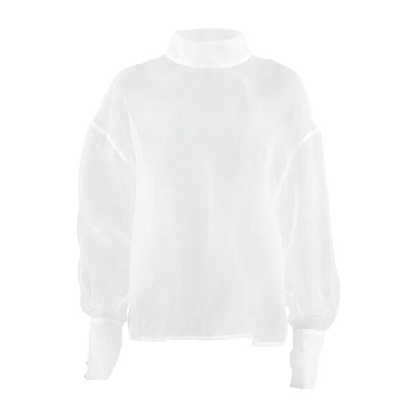 قميص نسائي شبكي شفاف بأكمام طويلة