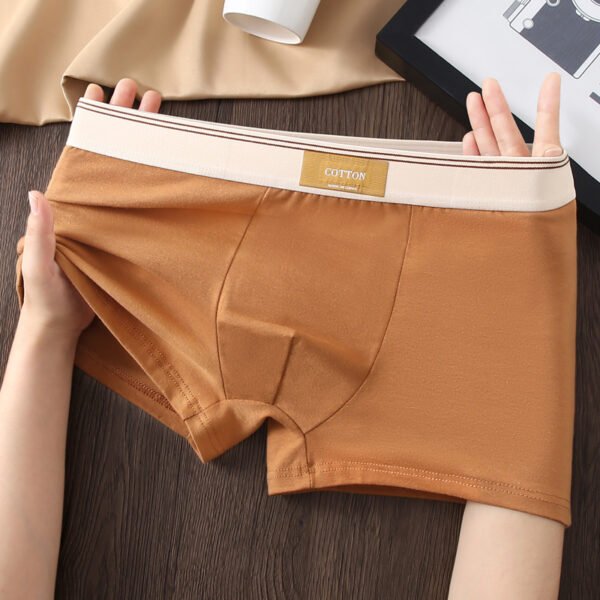 6af6950c-bc9c-4eb1-8e5d-75a0de3f8528.jpg ملابس داخلية رجالية بوكسر مضادة للبكتيريا من القطن قابلة للتهوية - 5 قطعة
