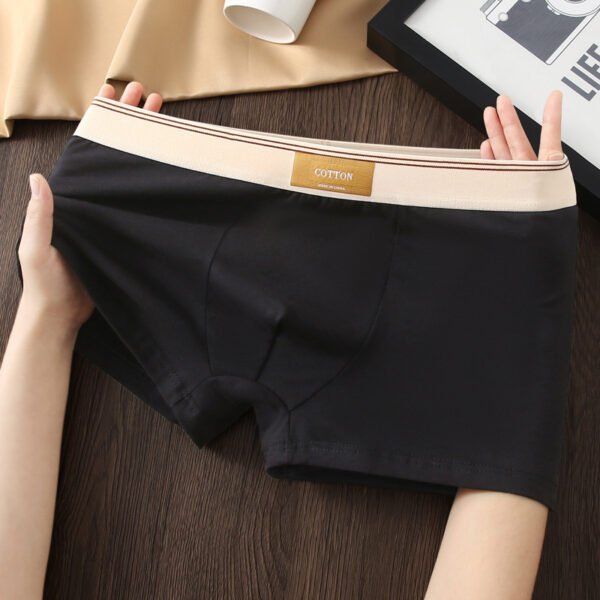 99bab6c8-c45a-4991-85e0-987bbbe7a59d.jpg ملابس داخلية رجالية بوكسر مضادة للبكتيريا من القطن قابلة للتهوية - 5 قطعة